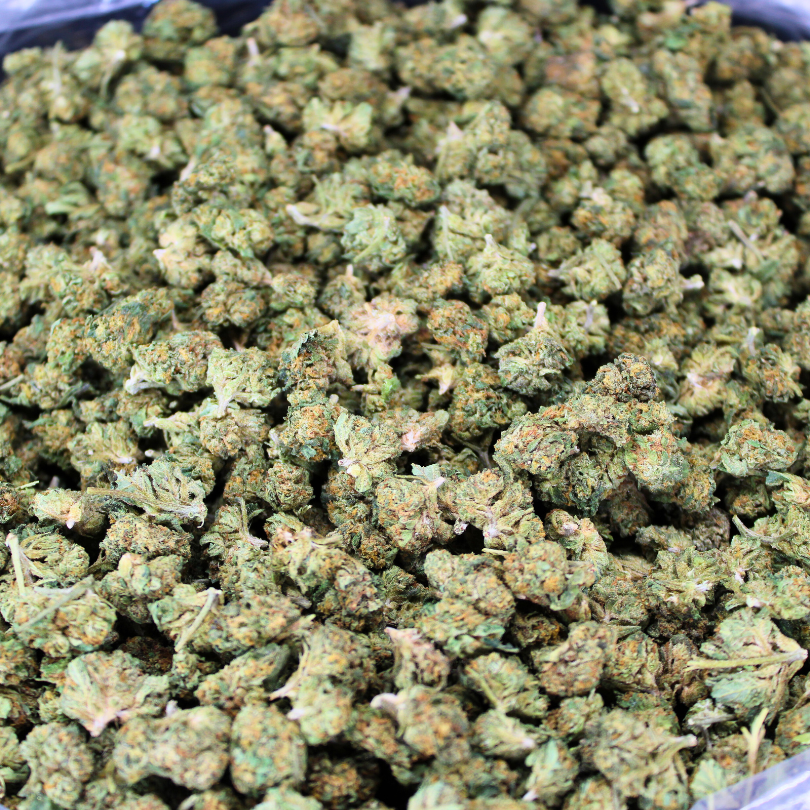 Jet Fuel OG THCA Flower