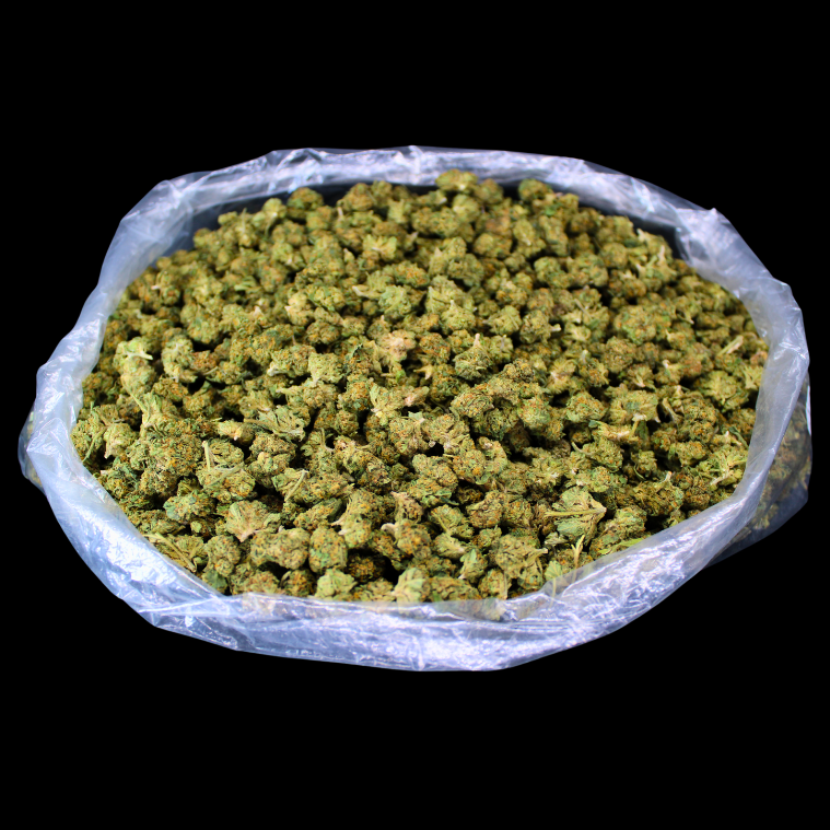 Jet Fuel OG THCA Flower