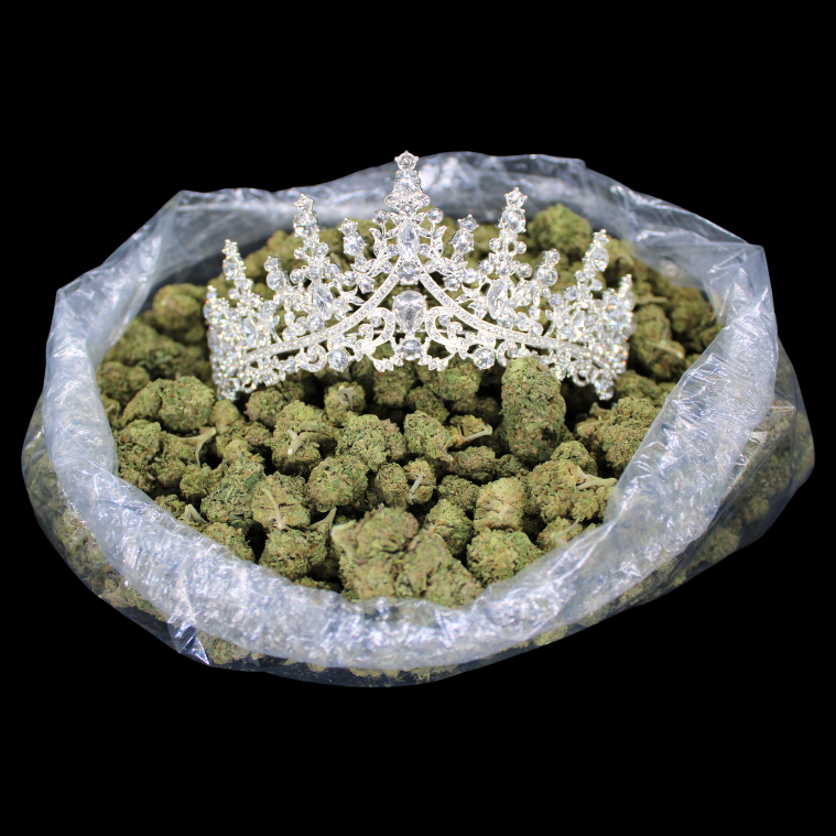 THCA Queen
