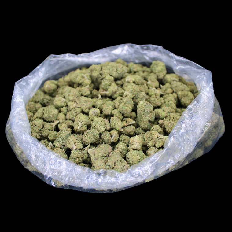 THCA Queen