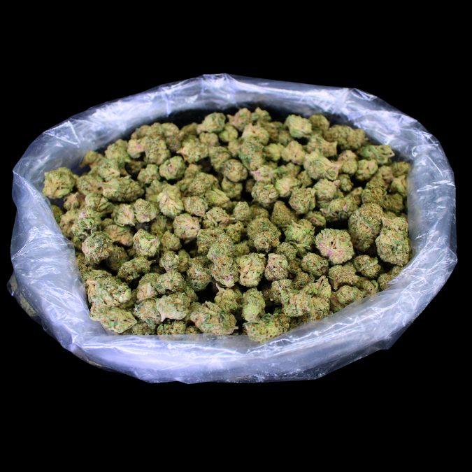 Northern Lights Exotic THCA Flower