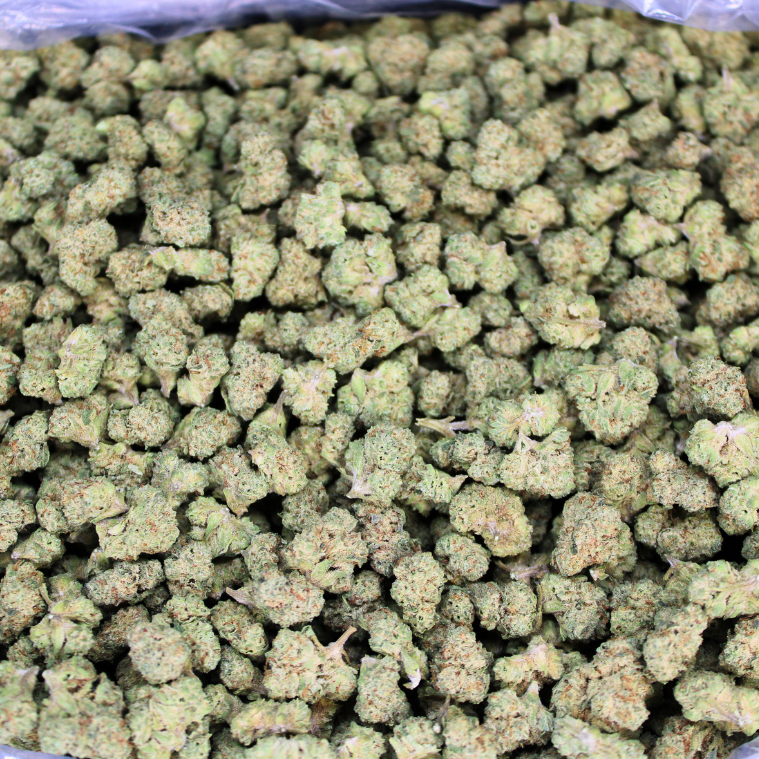 Cheap THCA Smalls Quarter Pound
