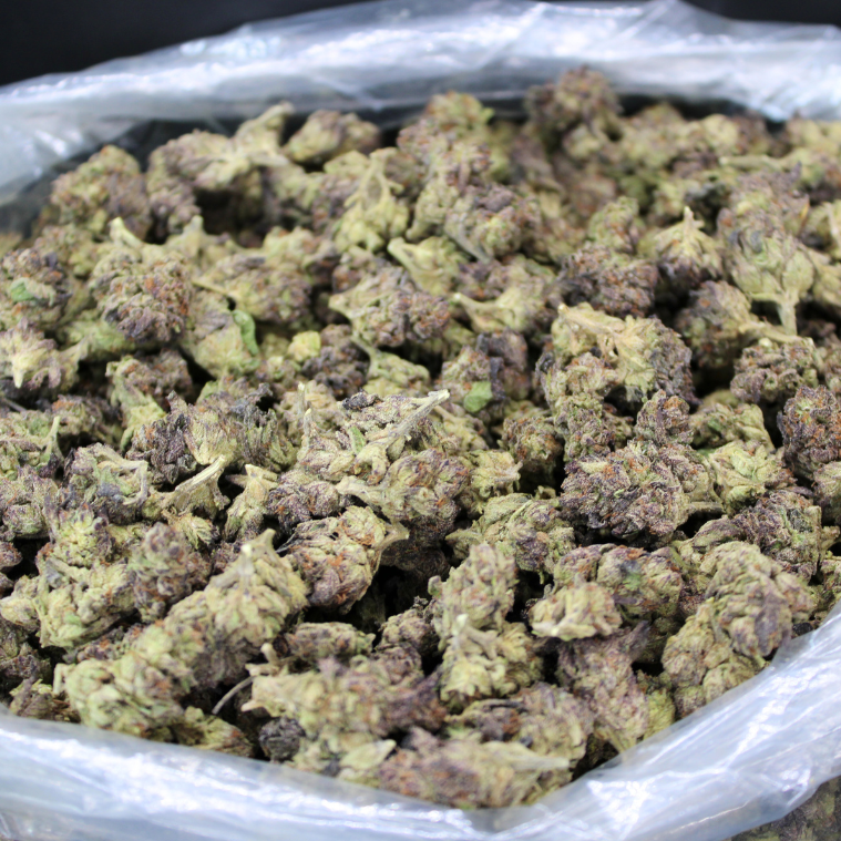 Purple Cream THCA Flower
