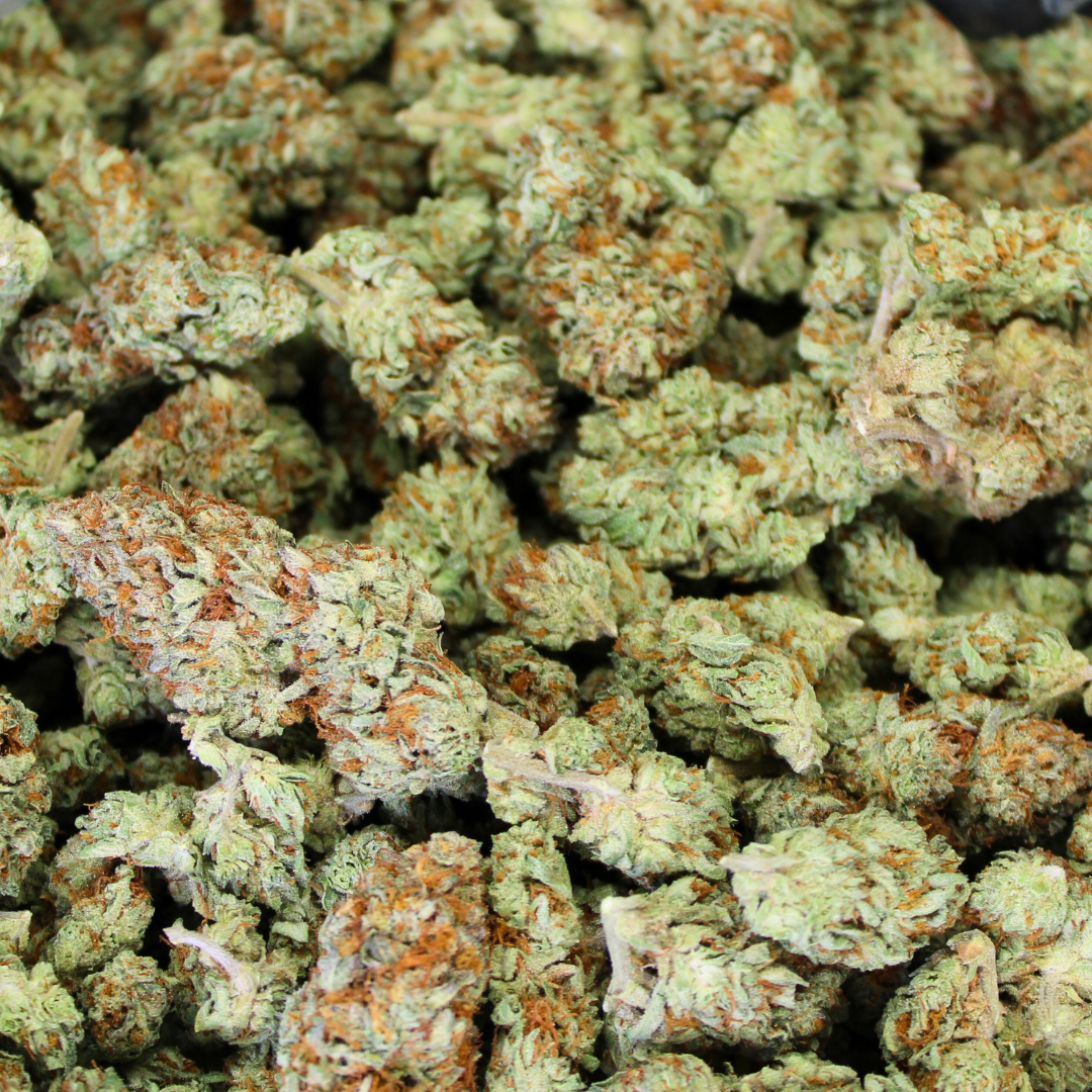 Queen's Gambit Greenhouse THCA Flower