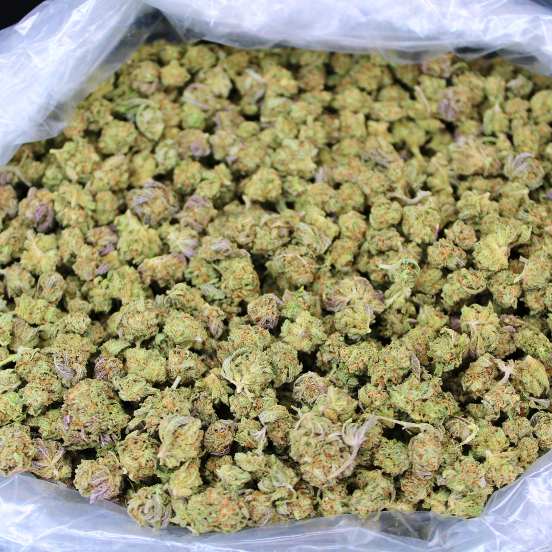 Royal Gorilla THCA Smalls