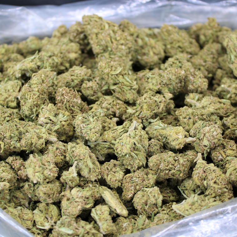 Sour OG THCA Flower