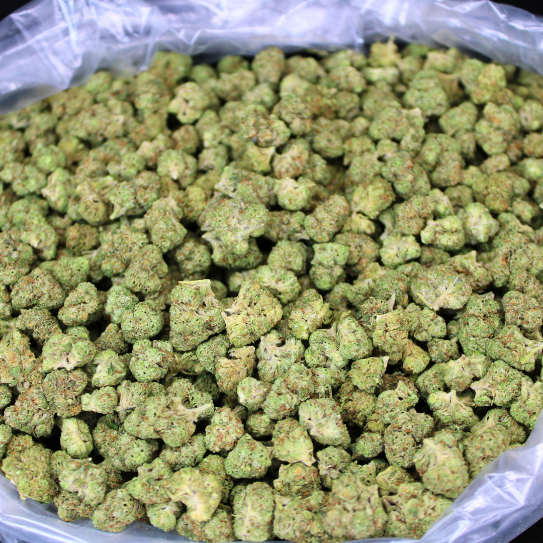 Thin Mints THCA Flower