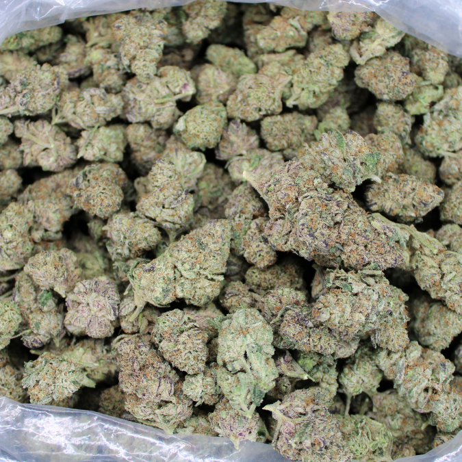 Tiger King THCA Flower