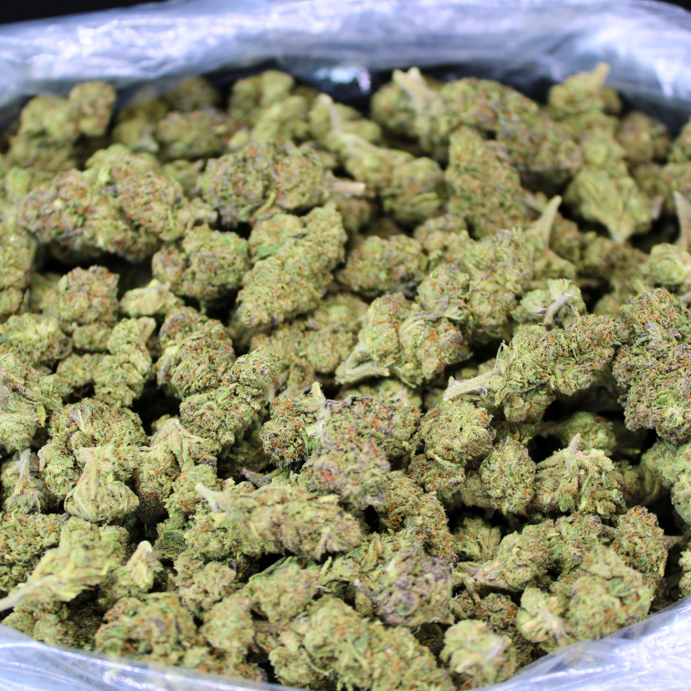 Trainwreck THCA Flower