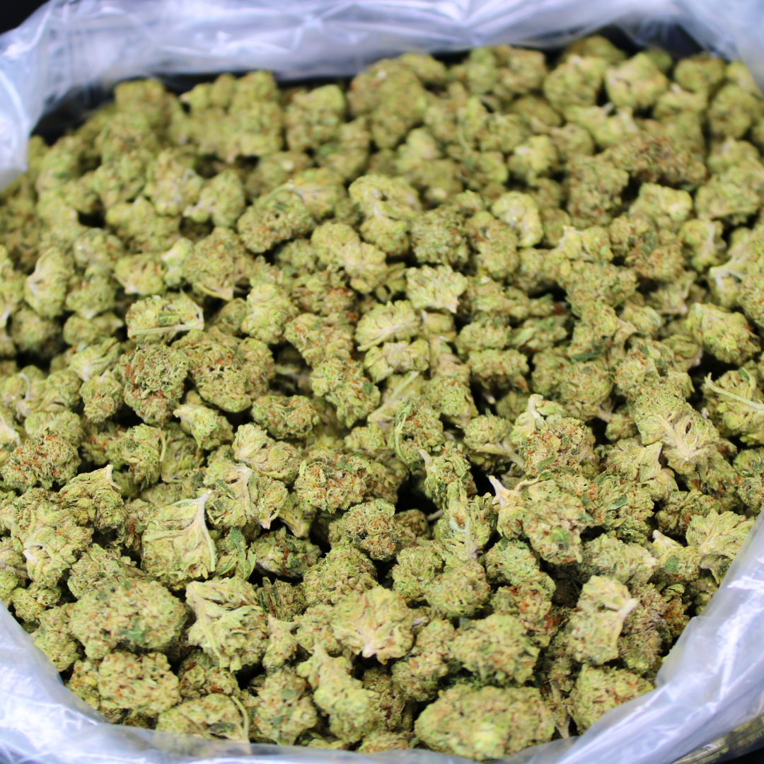 Trainwreck THCA Flower