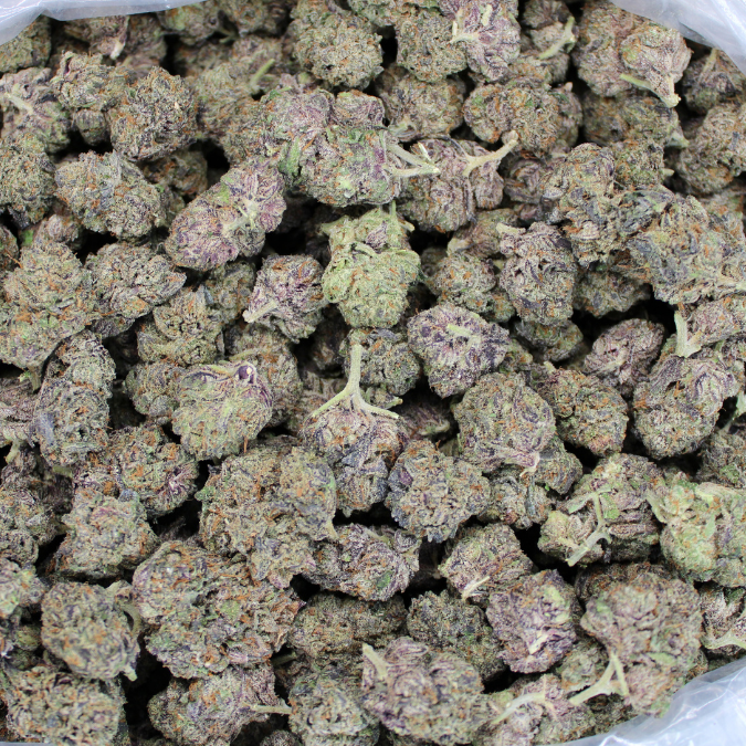 Velvet Runtz THCA Flower