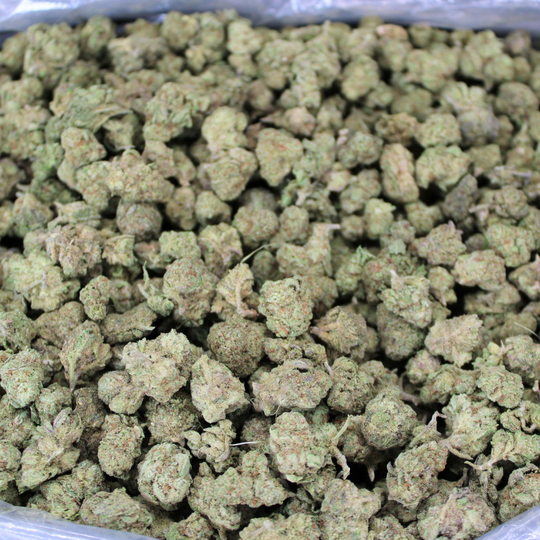 White Rhino THCA Flower