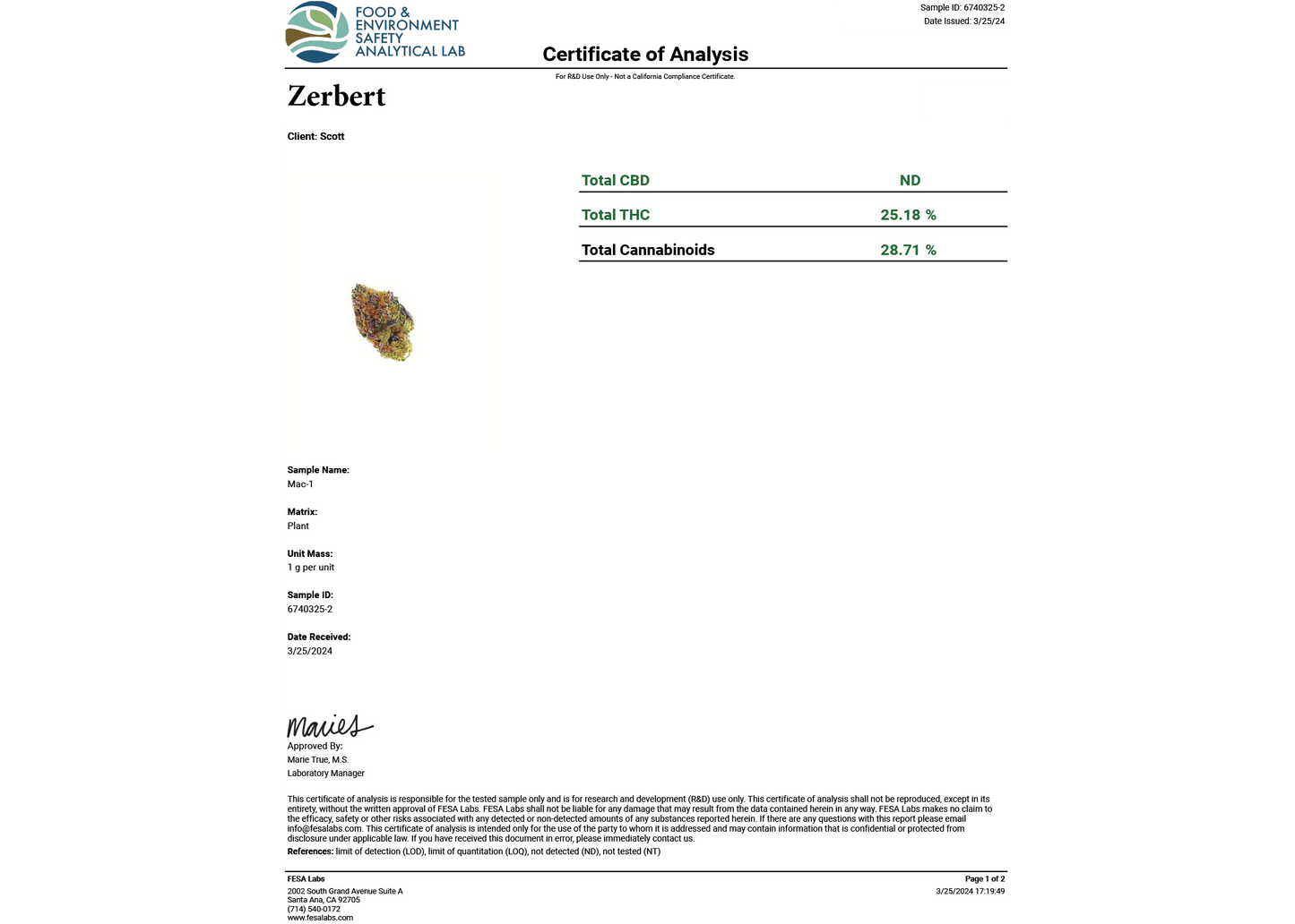 Zerbert Exotic THCA Flower