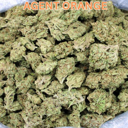 Fresh Agent Orange Added To Cheap THCA Flower Collection!