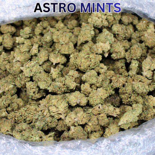 New Astro Mints Strain Added To Cheap THCA Flower Clearance!