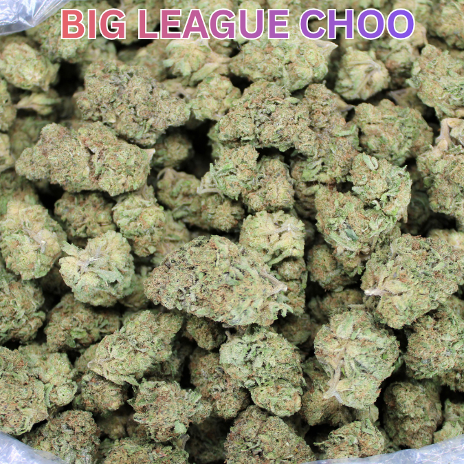 Jungle Boys THCA Strains Now In Stock!