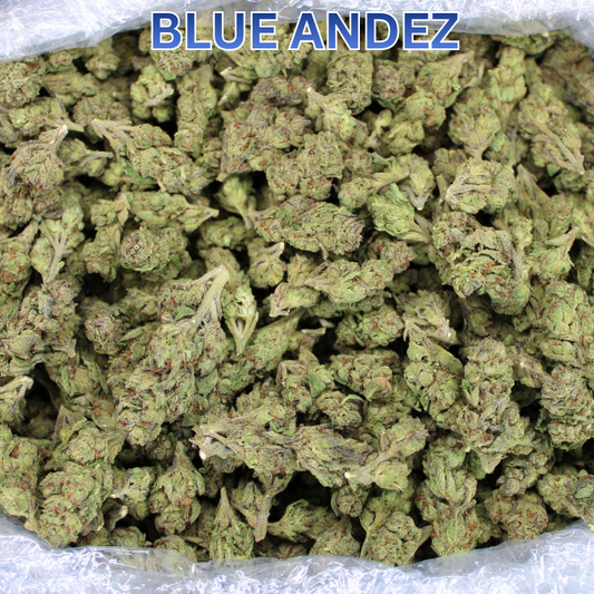 Light Assist THCA Smalls Restocked Featuring Blue Andez Mediums!