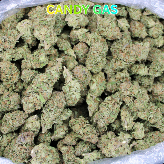 Fresh THCA Flower Alert:  Candy Gas (Lemon Cut) Now In Stock!