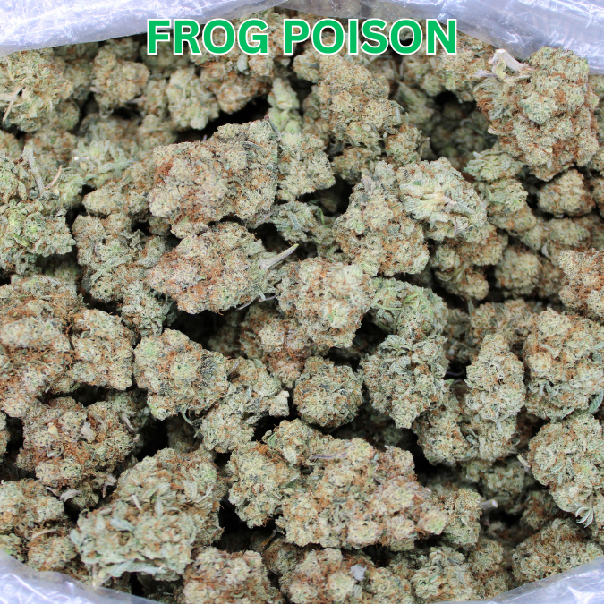 Fresh Indoor Toad Venom & Cheap Frog Poison Now In Stock!