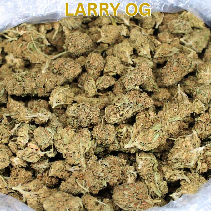 $99 LBS Budget Buds & Cheap THCA Pre-Rolls Added To 25% Off Pre-Labor Day Sale!
