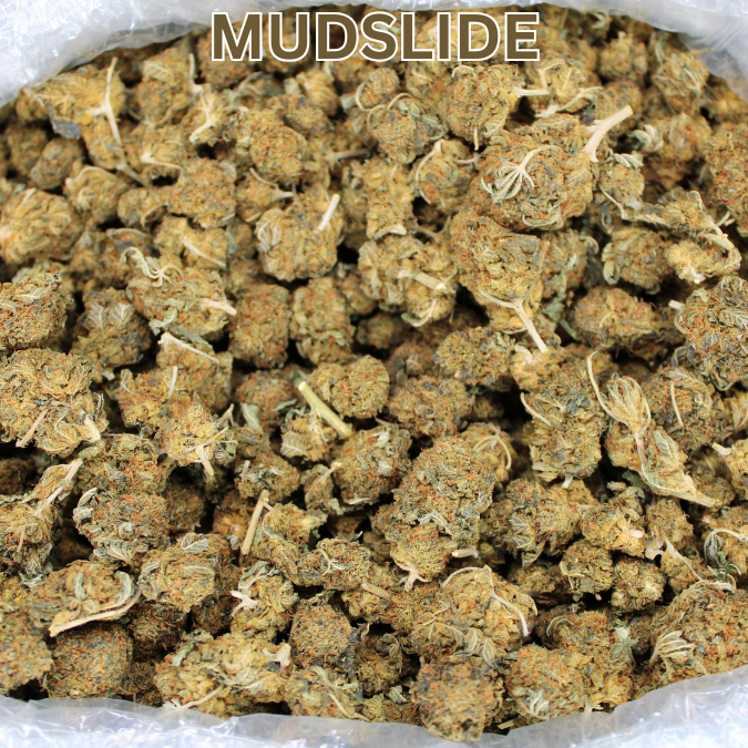 New Budget Buds Alert:  $20 OZs & $219 LBS Mudslide THCA Flower Now In Stock!