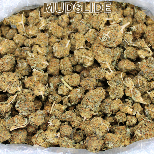 New Budget Buds Alert:  $20 OZs & $219 LBS Mudslide THCA Flower Now In Stock!