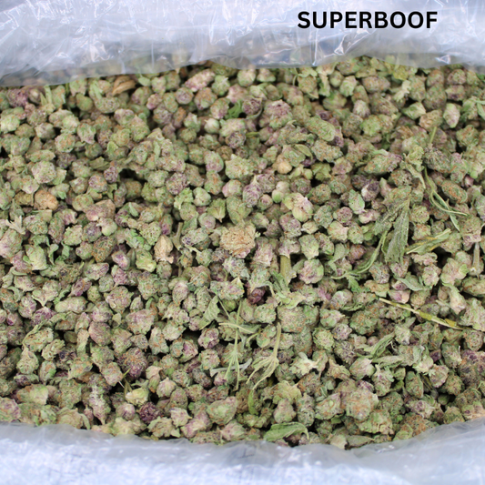 All Aboard The 2026 Deal Train... 30% Off Dank Vapes & Bulk THCA Smalls!