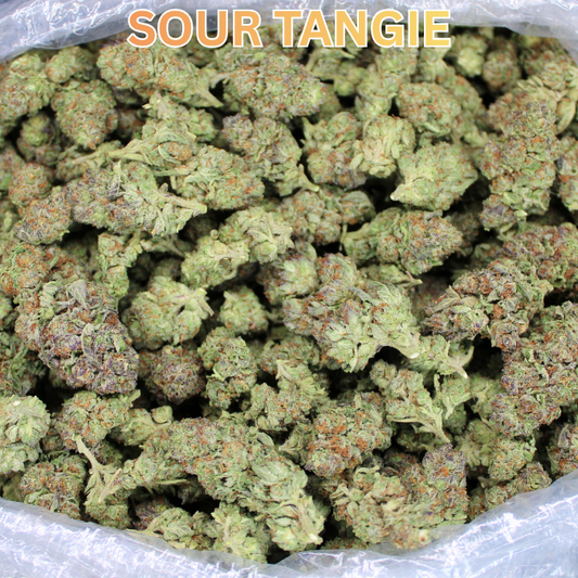 Fresh Sour Tangie Now In Stock!