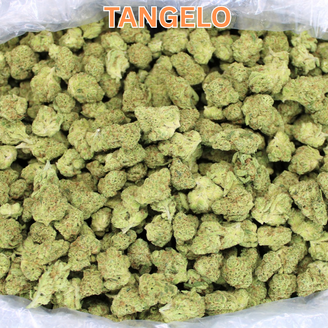 Bulk Indoor THCA Smalls Restocked!