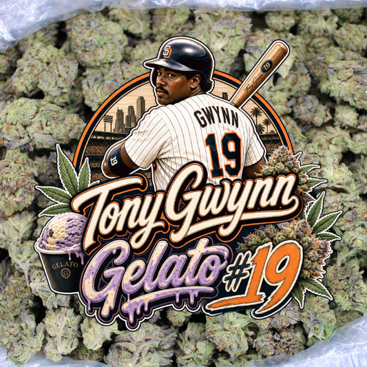 Batter Up With Fresh Tony Gwynn Gelato THCA Flower!