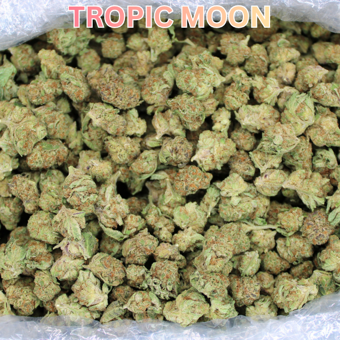 More Bulk Indoor THCA Smalls Restock!
