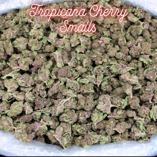 Tropicana Cherry Smalls Added Now In Stock!