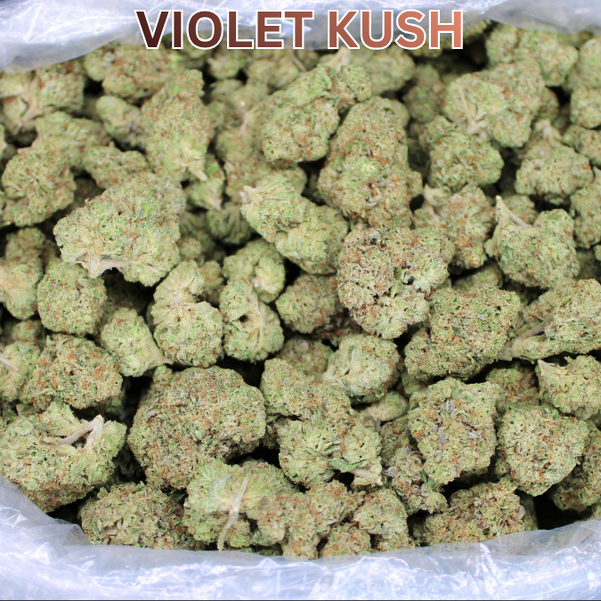 Cheap Indoor THCA Flower Ounces Restocked @ 50% Off!