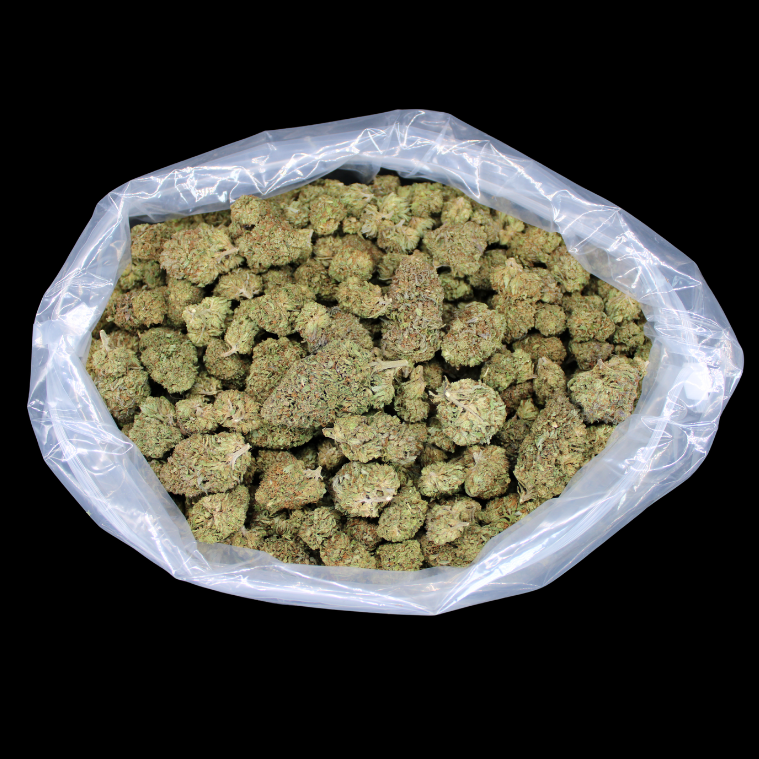 50% Off CBD Flower While Supplies Lasts!