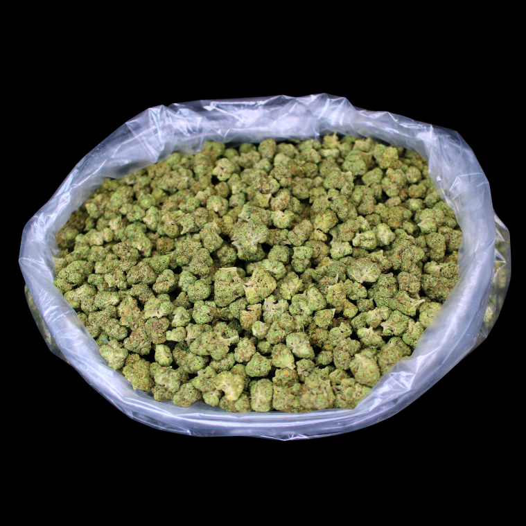 New Week New Strains At TSB!