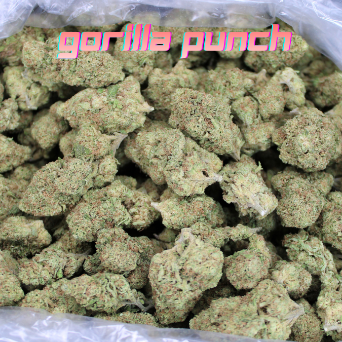 Fresh Gorilla Grove THCA Strains Now In Stock At TSB!