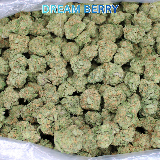 Why THCA Small Buds is Your Top Choice for THCA Flower