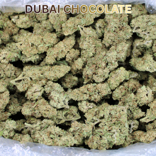 Dubai Chocolate THCA Flower: Strain Review, Effects, and What to Expect