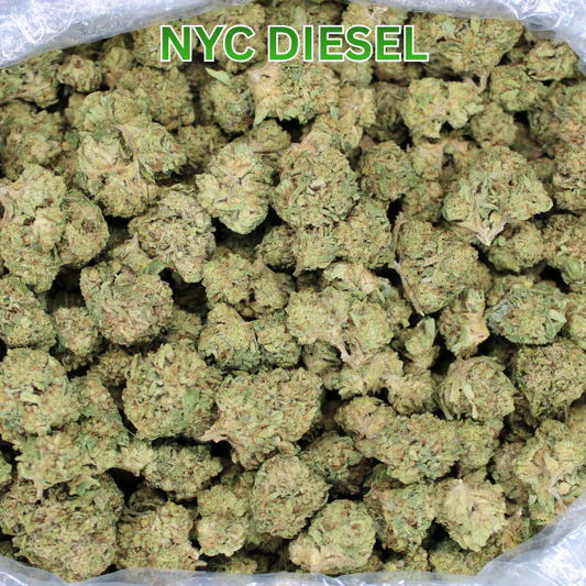 NYC Diesel THCA Flower: Energizing Effects, Loud Terpenes, and Serious Potency