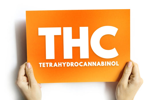 7 Myths About THCA Flower:  Debunking The Facts