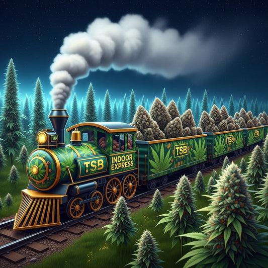 All Aboard The TSB Indoor Express.  New THCA Strains + Price Drops!