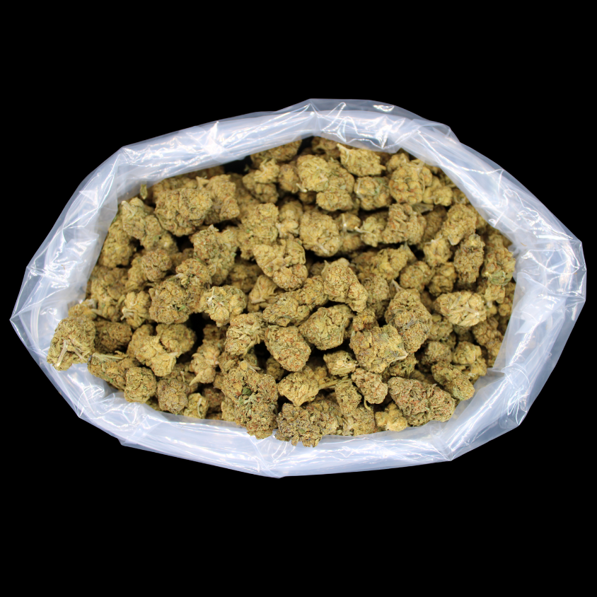 Cheap Carbon FYRE + Most Budget Buds Restocked!