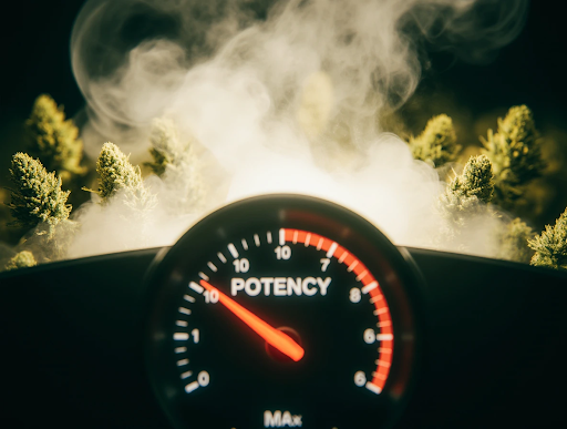 Gas Station THCA Vs Gas OG