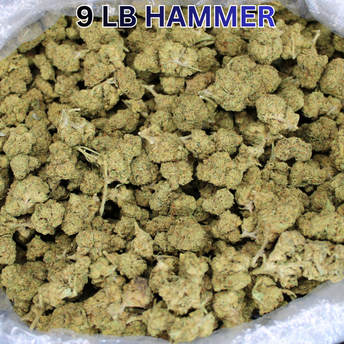 Cheap THCA Flower Ounce
