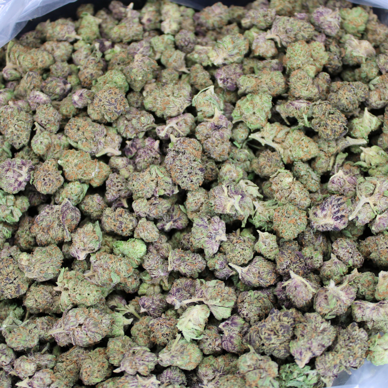 9 LB Hammer Exotic THCA Flower