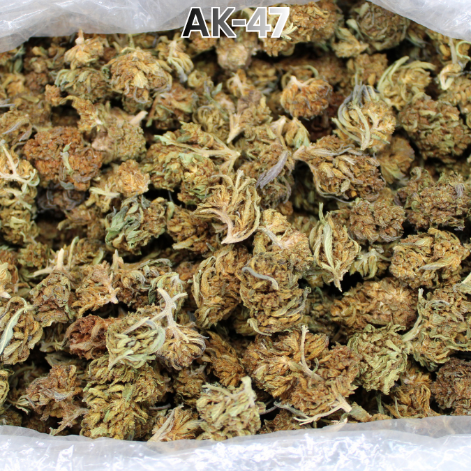 THCA Flower Budget Buds
