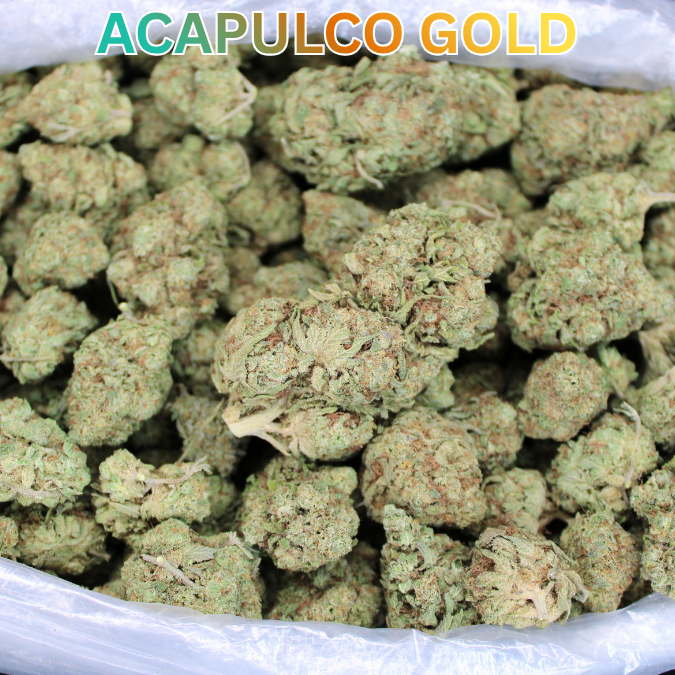 Acapulco Gold THCA Flower