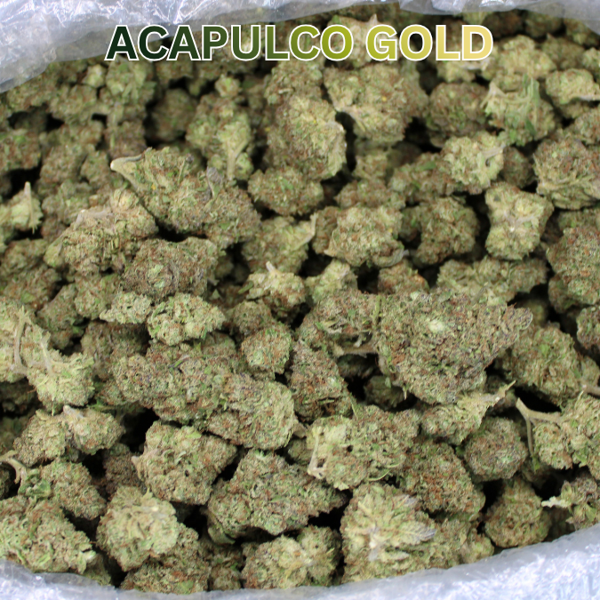 Acapulco Gold THCA Flower