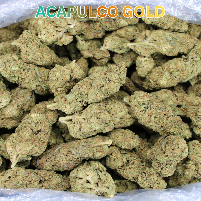 Acapulco Gold THCA Flower