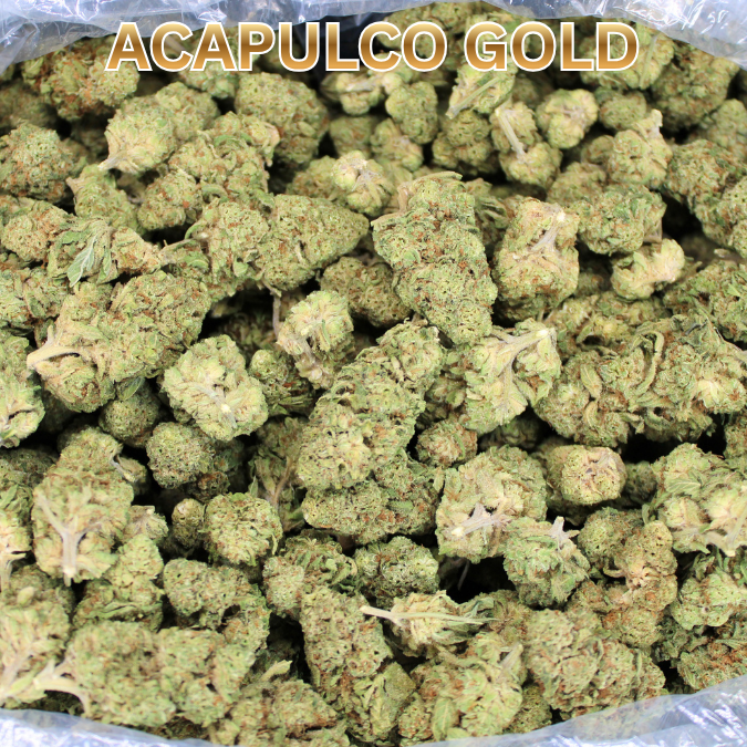 Acapulco Gold THCA Flower